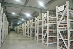 靈活倉(cāng)儲(chǔ)新選擇 上海小倉(cāng)庫(kù)30平起租，短租臨時(shí)倉(cāng)儲(chǔ)服務(wù)全解析