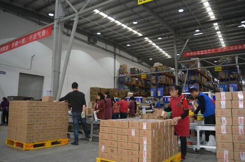 為何您的零售電商品牌亟需專業(yè)三方倉(cāng)儲(chǔ)物流與貨物倉(cāng)儲(chǔ)服務(wù)